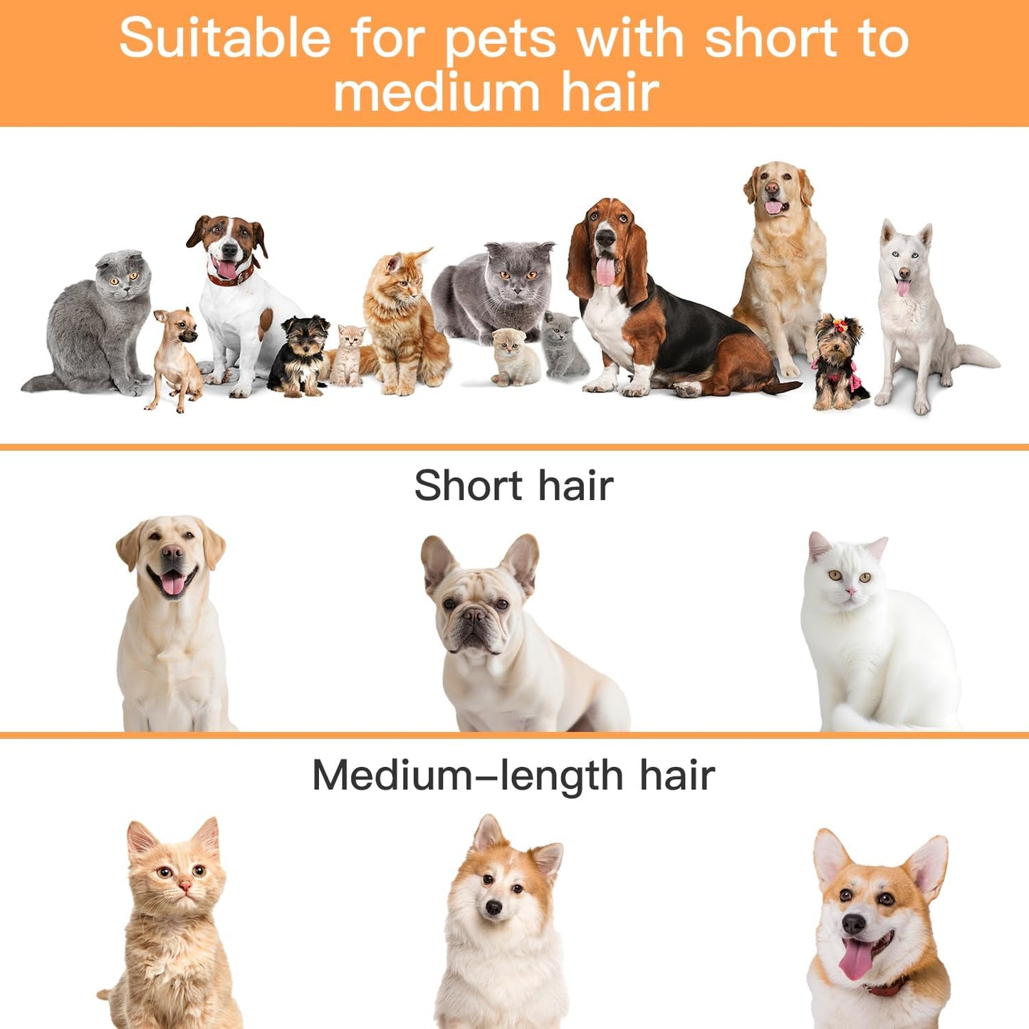 All-In-1 Pet Grooming Vacuum Kit (QuietPG100)