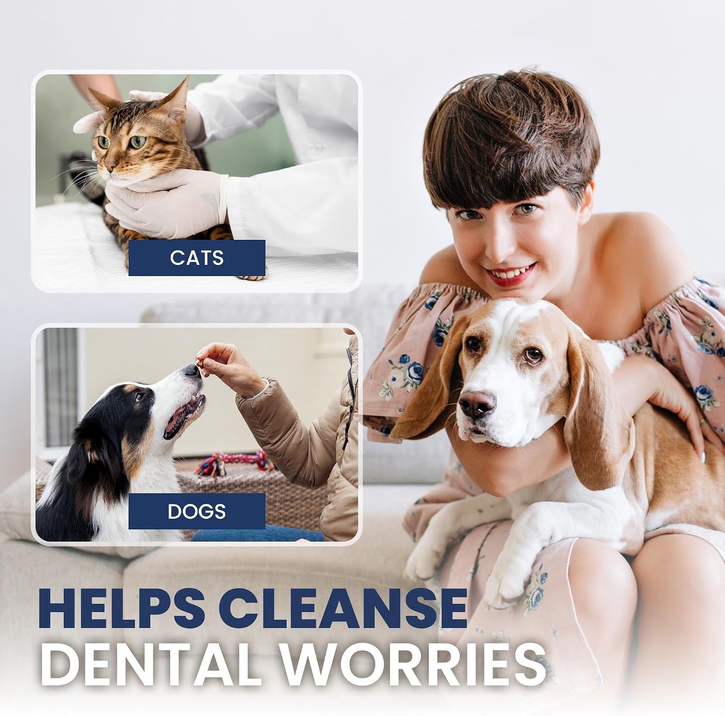 Dental Hygiene Kit for Cats & Dogs - All In One (RadPet)