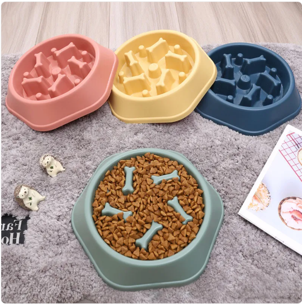 Four pet food bowls with different designs on a textured surface.