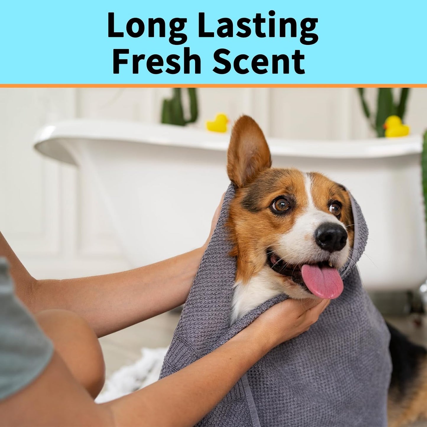 Dog wrapped in a towel after a bath with text 'Long Lasting Fresh Scent' above.