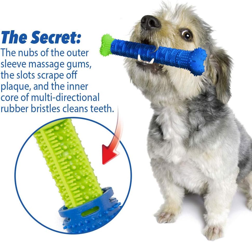 Dental Chew Brush Toy for Dogs and Cats - Dental Care