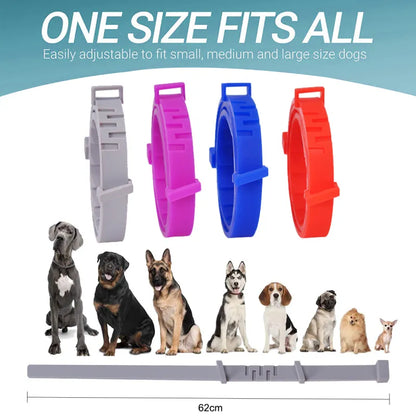 One Size Anti-Flea Pet Collar (Cats & Dogs)