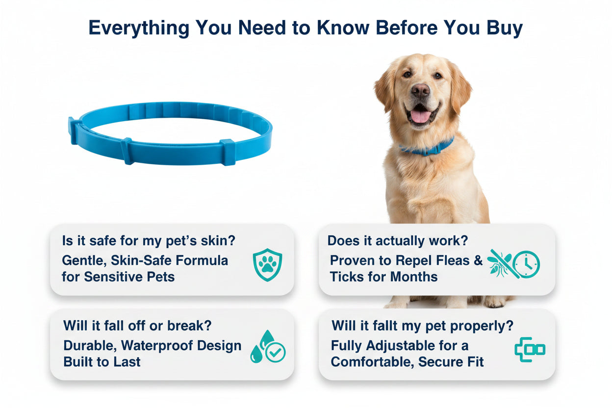 One Size Anti-Flea Pet Collar (Cats & Dogs)